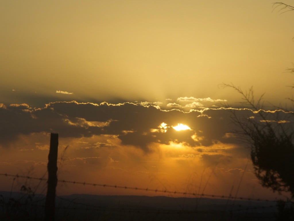 2132FAFE-6AA1-431F-B17C-5984CED7AB6D_1_105_c